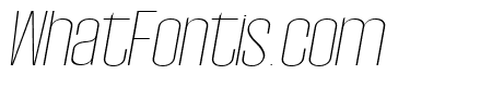 Wellston Thin Italic