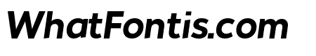 Noiche Bold Italic