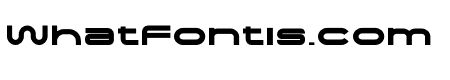 Shiro Bold
