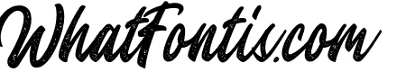 Jesselyne Stamp Regular