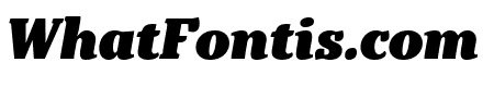 Kopius Black Italic