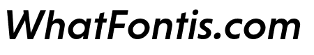 Niveau Grotesk Medium Italic