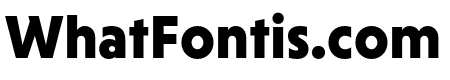 Niveau Grotesk Black