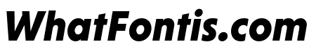 Niveau Grotesk Black Italic
