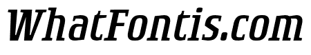 RogueSerif Light Italic