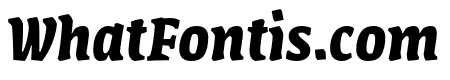 Amman Serif Pro Bold Italic