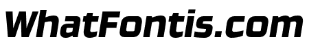 Ginger Pro Italic