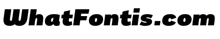 Remora Sans W3 Ultra Italic
