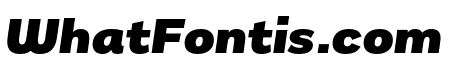Remora Sans W3 Black Italic