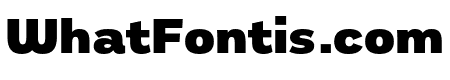 Remora Sans W2 Black