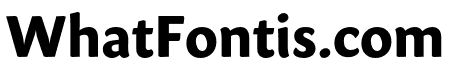 Sharik Sans ExtraBold