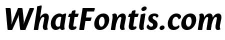 Sharik Sans Bold Italic