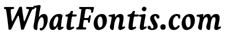 Livory Bold Italic