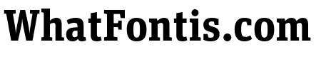 Unit Slab Pro Bold