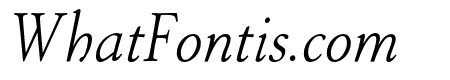 P22 Stickley Pro Display Italic