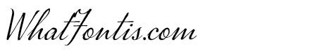 P22 Marcel Script Pro