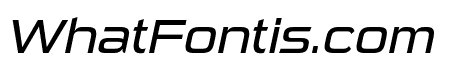 Sui Generis Book Italic