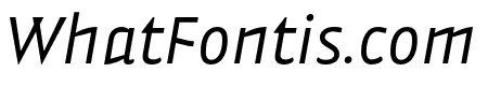 Vidange Pro LightItalic