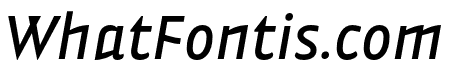 Vidange Pro MediumItalic