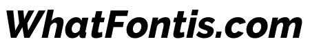 Raleway ExtraBold Italic