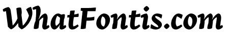 Arek Latin Bold Italic