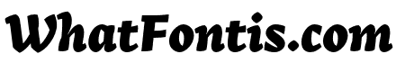 Arek Latin Extrabold Italic