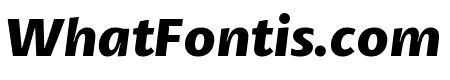 Petala Pro Bold Italic
