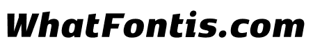 Kobenhavn CS Black Italic