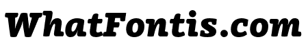 Vaccine Black Italic