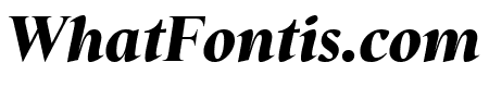 Starling Black Italic