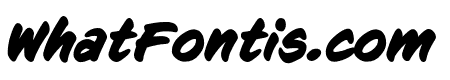 CCSignLanguage Bold Italic