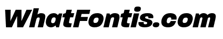 Paralucent Text Bold Italic