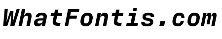 Antarctican Mono Bold Italic