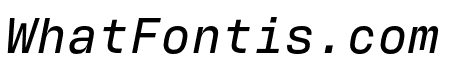 Antarctican Mono Medium Italic