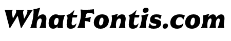 Civane Ext Black Italic