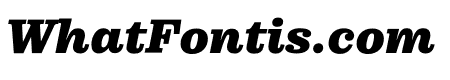 Pulpo Black Italic