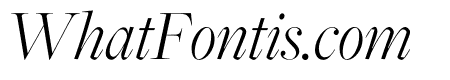 FreightDisp Pro Light Italic