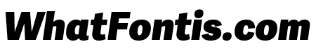 Adelle Sans Heavy Italic
