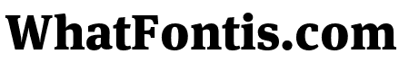 Meta Serif Pro Black