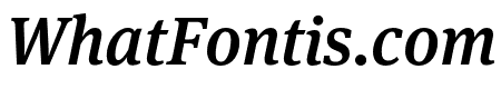 Meta Serif Pro Medium Italic