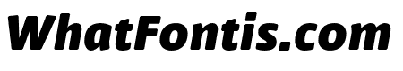 Nuvo Pro Black Italic