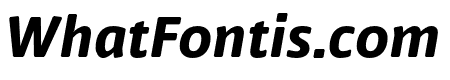 Nuvo Pro Extrabold Italic