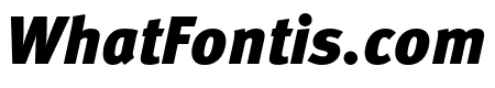 Meta Pro Condensed Black Italic