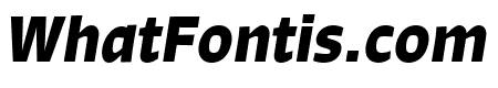 Signo Bold Italic