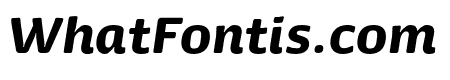 Dancer Pro Black Italic