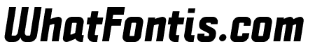Politica Black Italic
