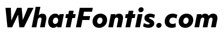 Objektiv Mk3 XBold Italic