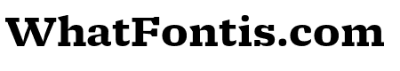Molto Bold