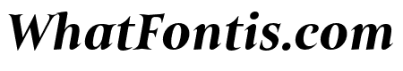 Belda Ext Black Italic