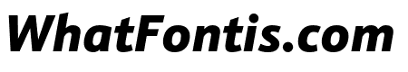 Schnebel Sans ME Cond Black Italic